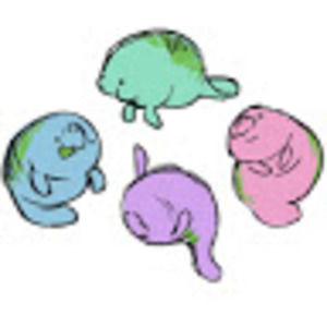 Meet your Posher, Linnea